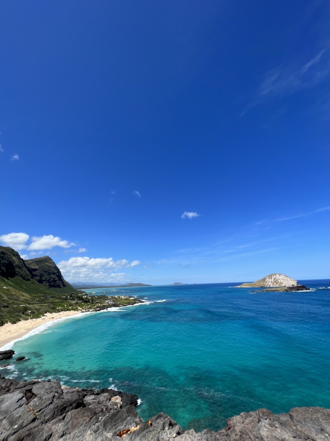 ハワイへの渡航客と消費額
